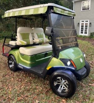 2018 YAMAHA QuieTech! 4 PASSENGER!