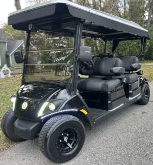 2020 YAMAHA QuieTech! 4 FORWARD!