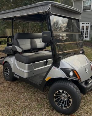 2019 YAMAHA QuieTech! 4 PASSENGER!